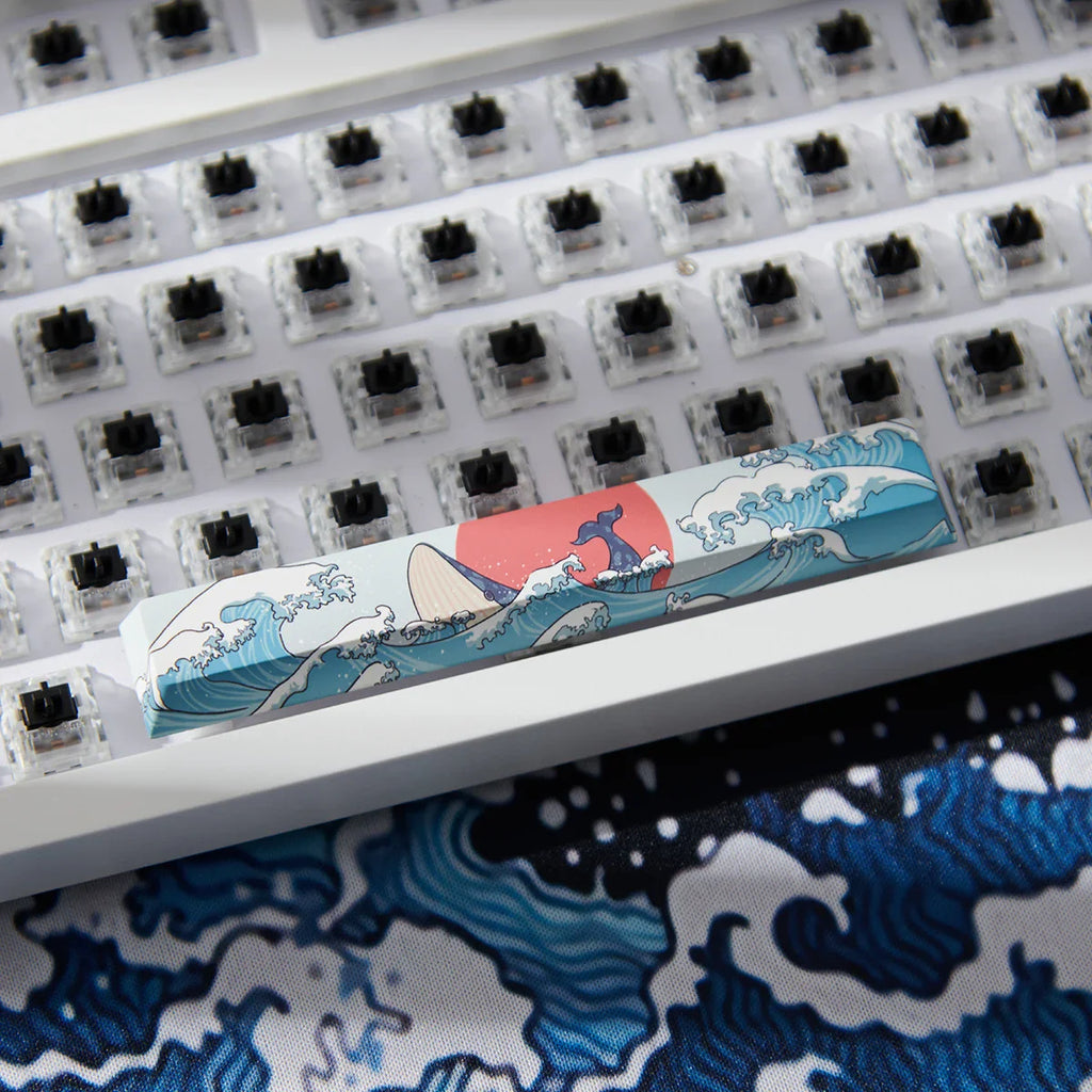 Coral Sea Keycap 4 Uds., teclas Cherry Profile Dye-Sub PBT, barra espacial 6.25U ESC Enter, tecla personalizada para teclado mecánico